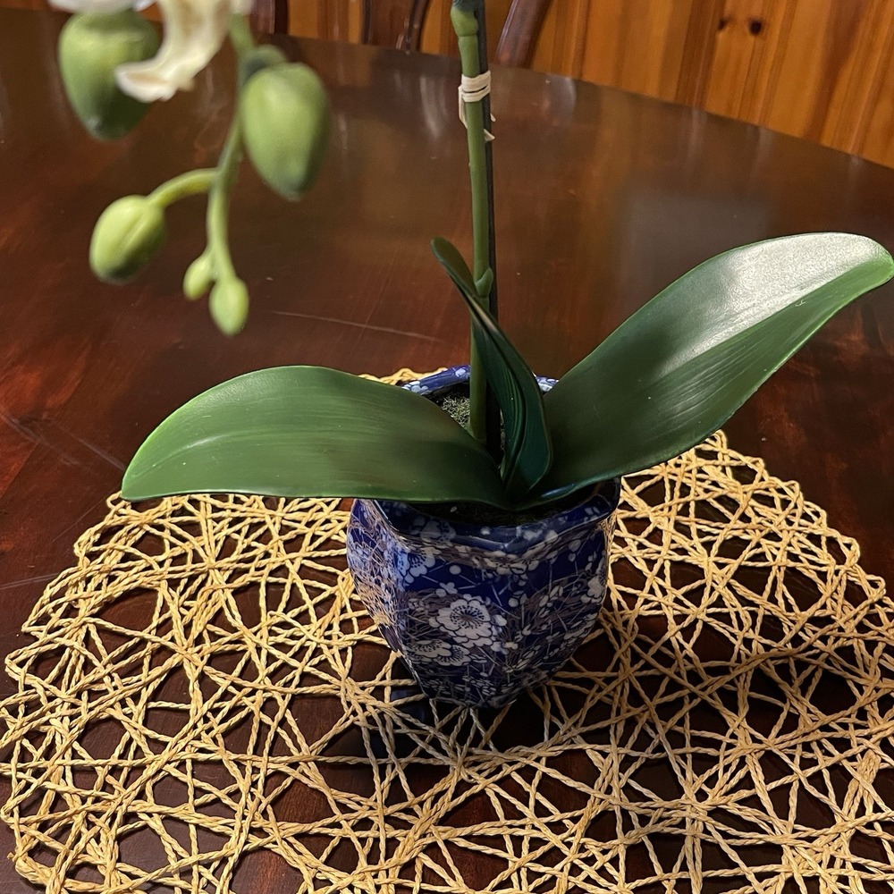 Faux White Phalaenopsis Orchid Silk Plant Blue ,Real Touch - Picture 4 of 8